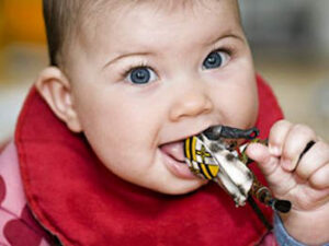 Baby with item in mouth
