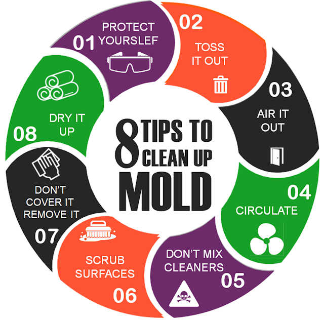 Mold cleaning tips