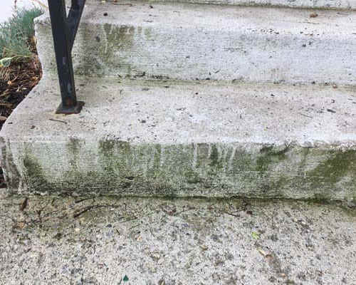 Mold on steps